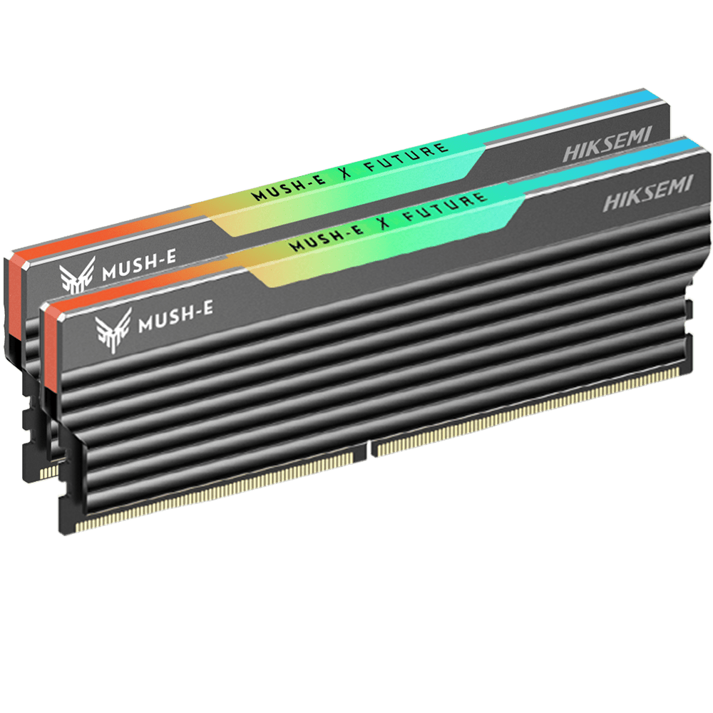 DDR5 6400MHz 16GB×2 32gbメモリ HIKSEMI FUTURE RGB DDR5-6400 32GB (2x 16GB) | MUSH-E