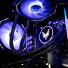 MUSH-E 301: Ryzen 5 7500F (D5) + ASUS RTX 4060 MUSH-E