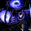 MUSH-E 301: Ryzen 5 7500F (D5) + ASUS RTX 4060 MUSH-E
