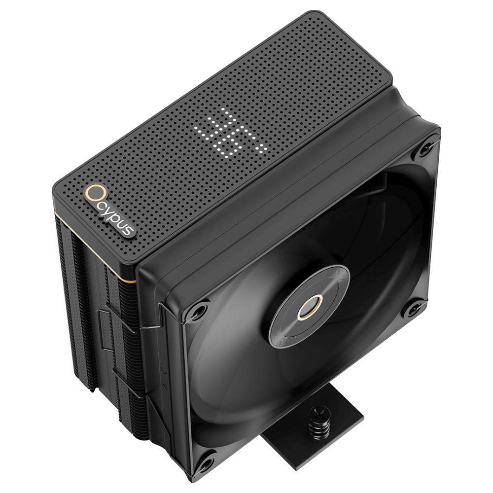 Ocypus Iota A40