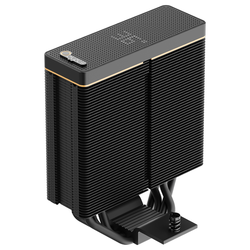 Ocypus Iota A40