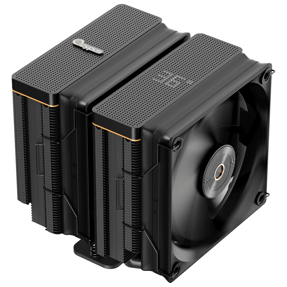 Ocypus Iota A62