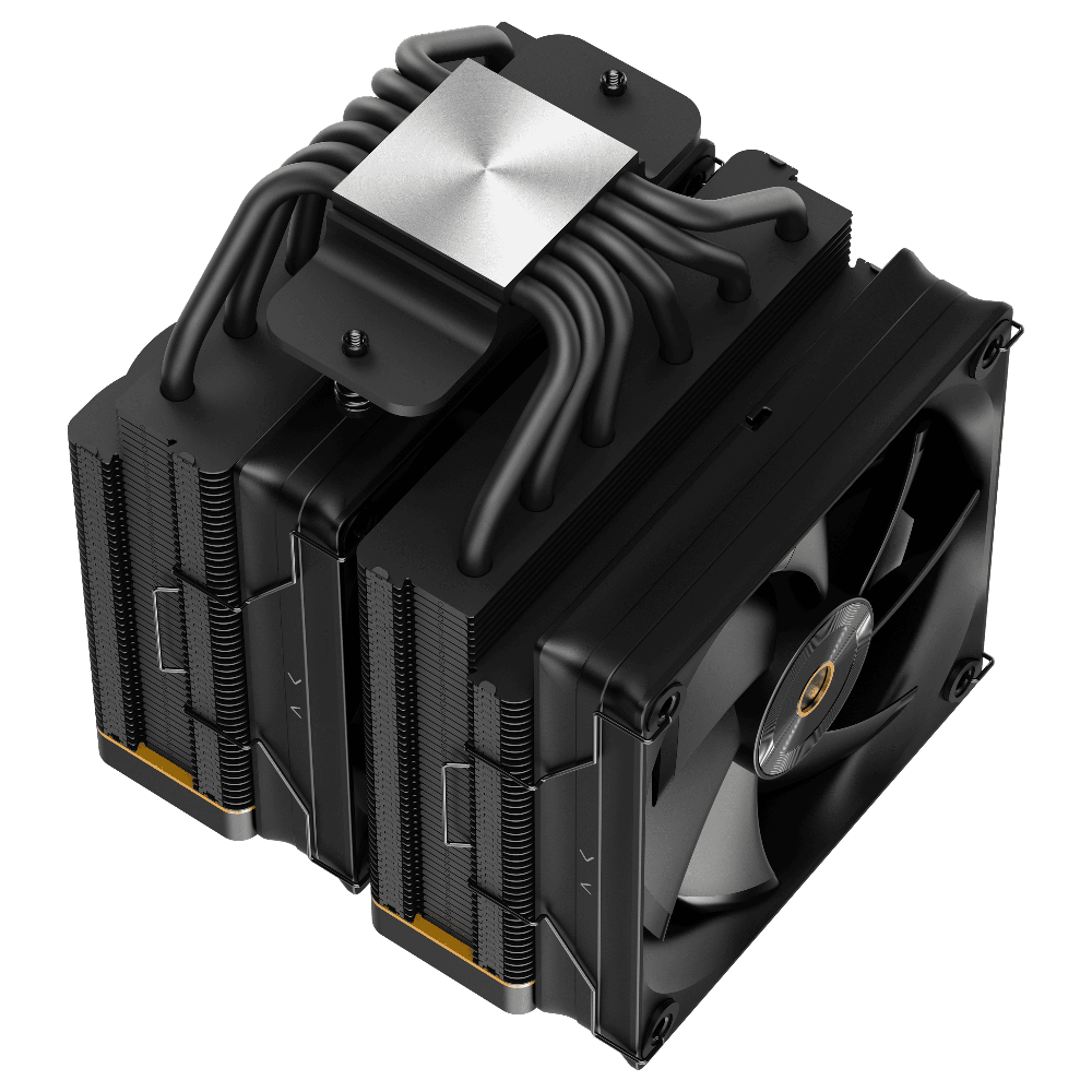 Ocypus Iota A62