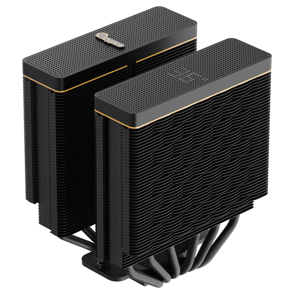 Ocypus Iota A62