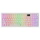 TECWARE SPECTRE EVO 75 Wireless White (Mechanical, 75% Layout, 1.14" LCD, Outemu Purple Switch)