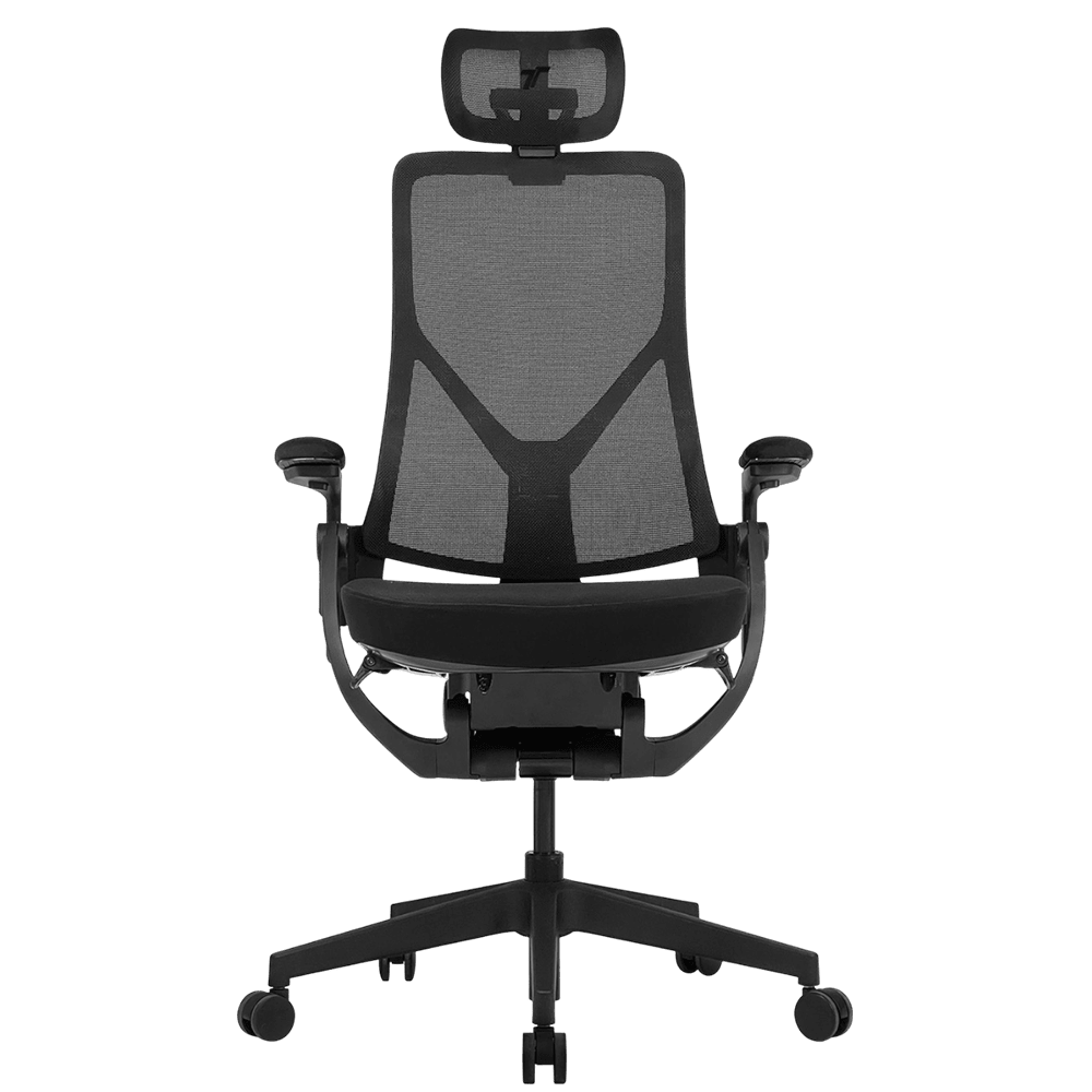 TT AeroFlex Ergochair - Graphite Black Chair TTRacing 