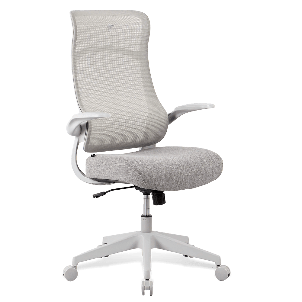 TT AIRFLEX Ergochair - Ashy Grey Chair TTRacing 