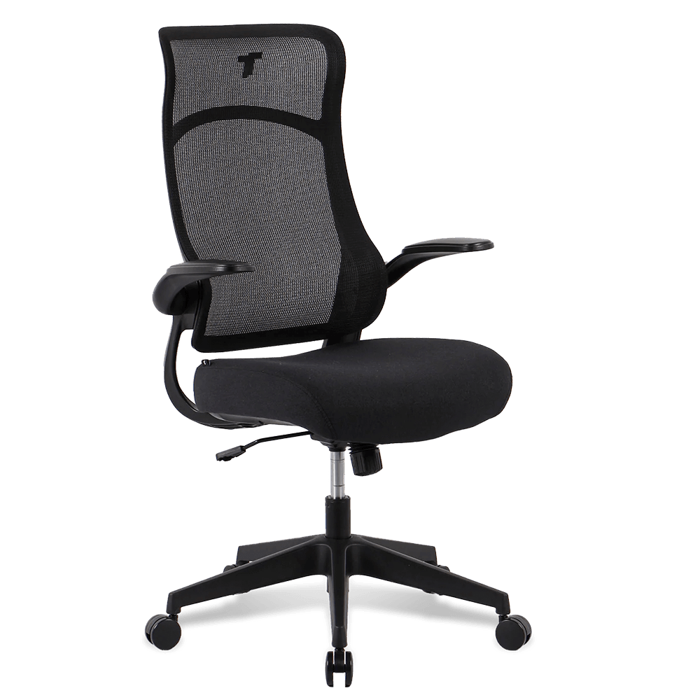 TT AIRFLEX Ergochair - Graphite Black Chair TTRacing 