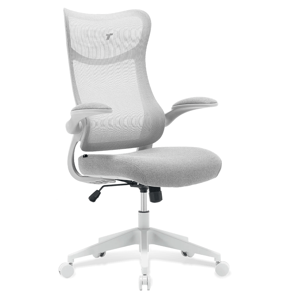 TT AIRFLEX V2 Ergochair - Ashy Grey Chair TTRacing 