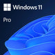 Windows 11 Pro (Original)